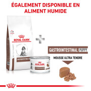 ROYAL CANIN Gastro intestinal puppy