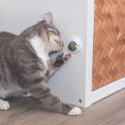 Balle herbe à chat, fixation surface lisse