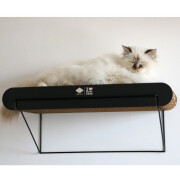 Griffoir mural en carton David