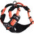 Harnais Anti-traction pour chien Rando Monoi Orange