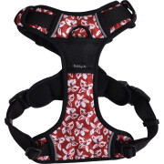 Harnais Anti-traction pour chien Rando Monoi Bordeaux