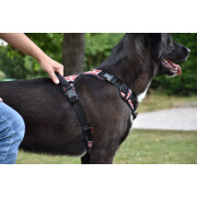Harnais Anti-traction pour chien Rando Monoi Bordeaux