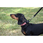 Collier confort Monoi Bordeaux pour Chien