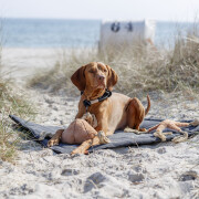 Tapis confortable pour chien BE NORDIC noir