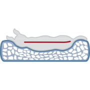 Coussin orthopédique, mémoire de forme, déhoussable Loki