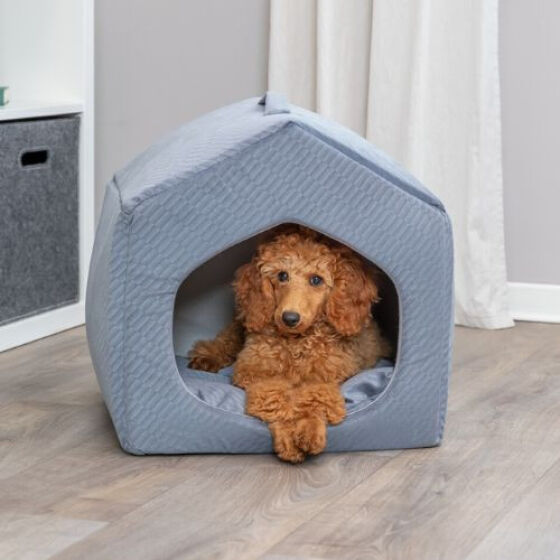 Abri Alena pour chien