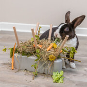 Mangeoire design en céramique et bois