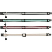 Collier élastique pour chat