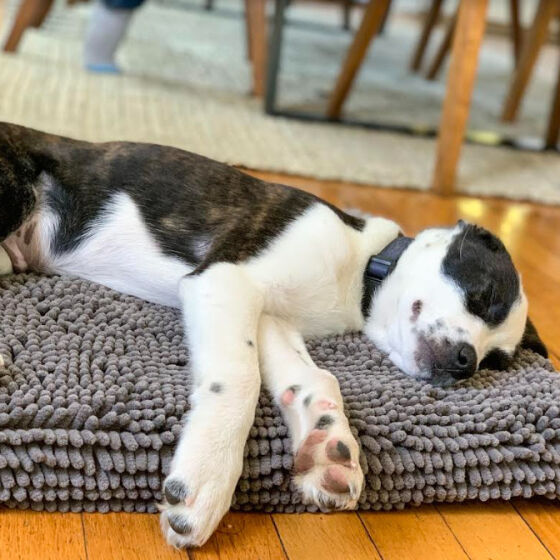 MATELAS ABSORBANT GRIS