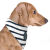 Bandana pour chien rayé GURVAN