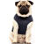 T-shirt spécial bouledogue HELOISE love bleu marine