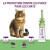 Vectra Felis chat : Pipette anti puce