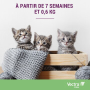 Vectra Felis chat : Pipette anti puce