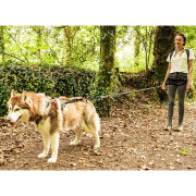 Harnais chien Style UPKA I-Dog gris