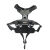 Harnais chien Style UPKA I-Dog gris