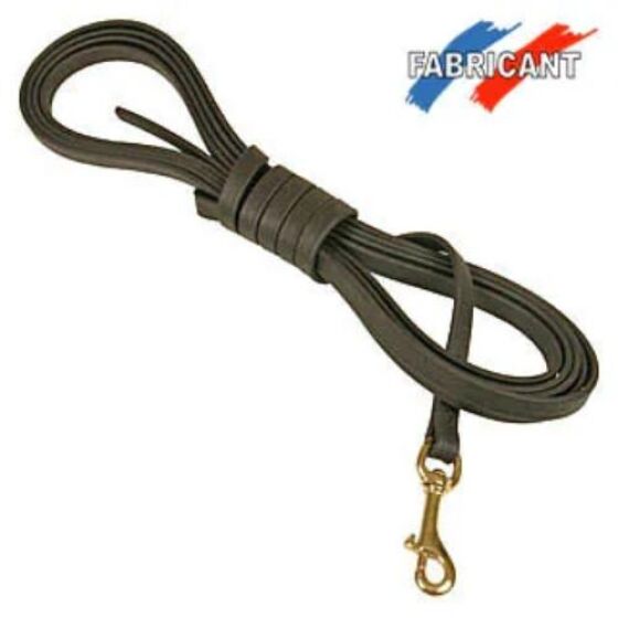 Longe Biothane pour chien