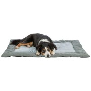 Matelas pour chiot confortable Viviana