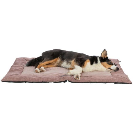 Matelas pour chiot confortable Viviana