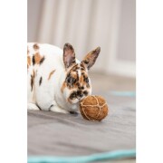 Balle fibre de noix de coco pour lapin / 100 % naturel