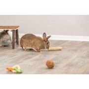 Jouet en herbe naturel pour lapin