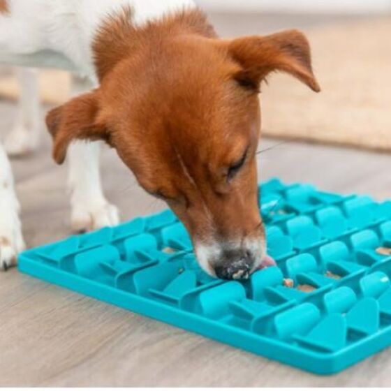 Tapis de lechage chien lick'n snack