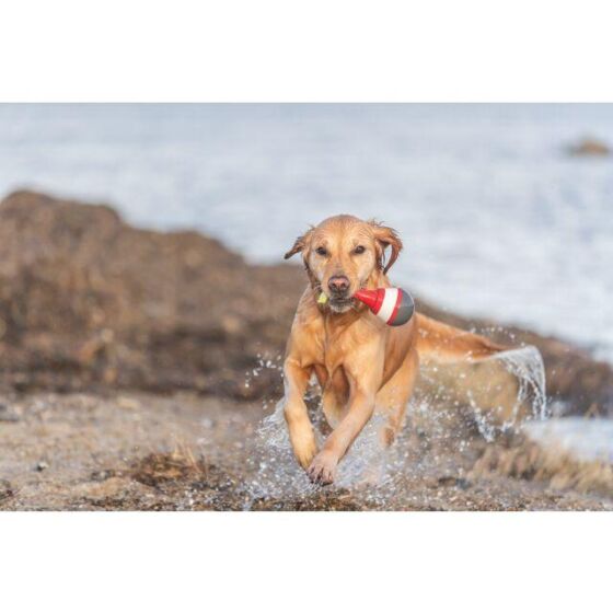 Jouet d'eau bouée sur corde