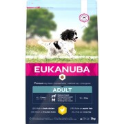 Croquettes Eukanuba adult chien moyen