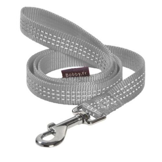 Laisse pour chien Safe GRIS