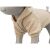 Sweat a capuche pour chien be nordic sable
