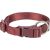 Collier Premium pour Chien Sangria