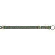 Collier Premium pour Chien Vert olive