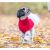 Pull pour chien : Ultra confort Norwood rouge