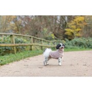 Pull pour chien : Ultra confort Norwood blush