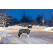 Manteau imperméable réflechissant pour chien limoux