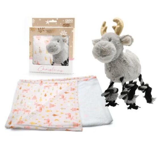 Coffret de Noël pour chien : Set couverture et doudou