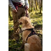 Harnais Bivouak technique pour chien