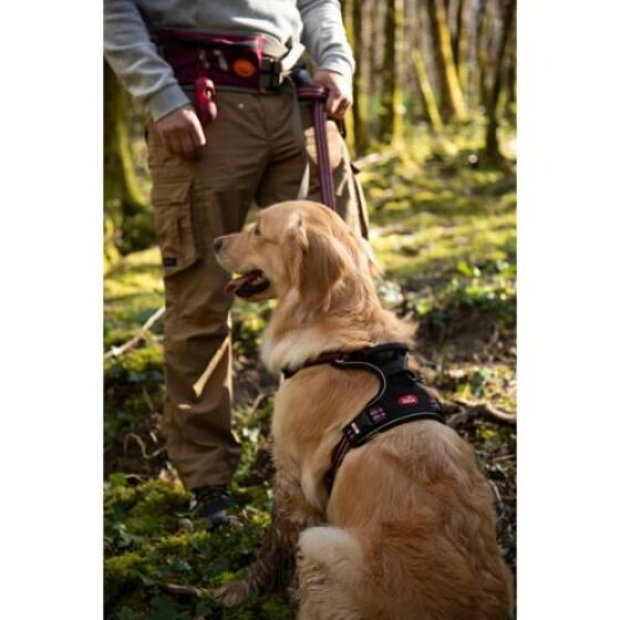 Harnais Bivouak technique pour chien