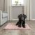Matelas Lonni pour Chien : Confort, Douillet et Style Moderne