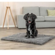 Matelas Lonni pour Chien : Confort, Douillet et Style Moderne