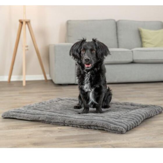 Matelas Lonni pour Chien : Confort, Douillet et Style Moderne