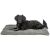 Matelas Lonni pour Chien : Confort, Douillet et Style Moderne