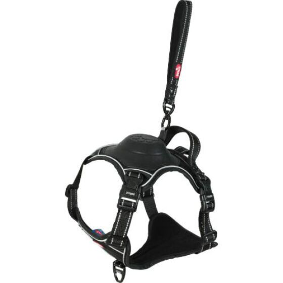 Harnais Easy Ride avec laisse enrouleur intégrée, innovation 2025