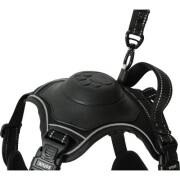 Harnais Easy Ride avec laisse enrouleur intégrée, innovation 2025