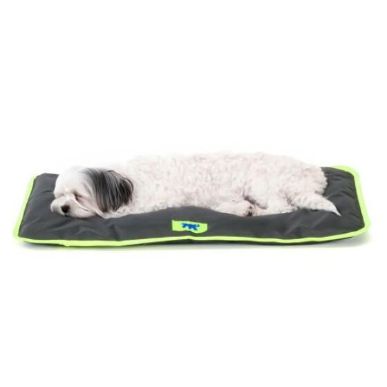 Tapis pour Chien imperméable : Confortable, résistant JOLLY