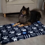 Tapis chauffant chiens, isolant, capte la chaleur