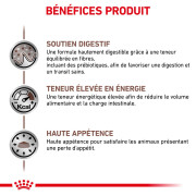 ROYAL CANIN Croquettes Veterinaire Gastro Intestinal