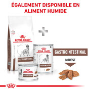 ROYAL CANIN Croquettes Veterinaire Gastro Intestinal