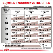 ROYAL CANIN Croquettes Veterinaire Gastro Intestinal