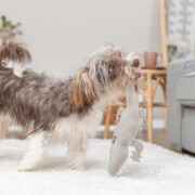 Jouet chien cuir véritable salamandre