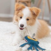 Jouet chien cuir véritable et corde monstre